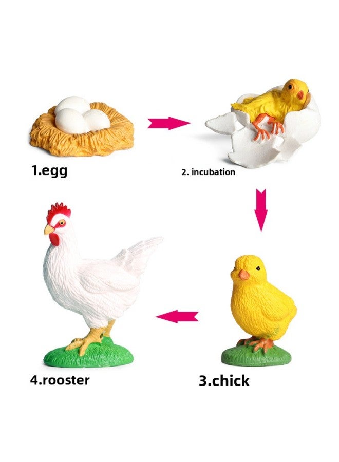 Wild Animal Toy Model Kids Mini Simulation Small Animal Poultry Tiger Lion Giraffe Shark Insect-Color:ZZ Medium Wild Animal 12 Set - Image 4