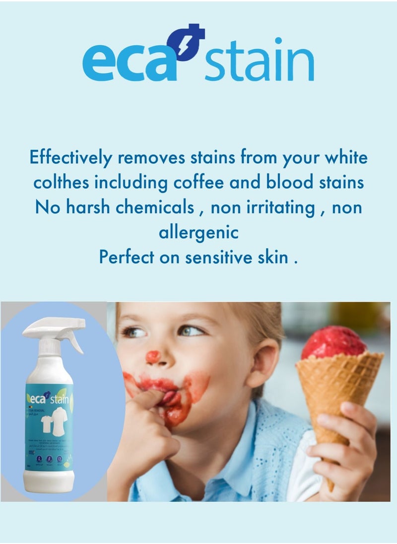 NADES - Eca stain -stain removal (500 ML) - Image 1