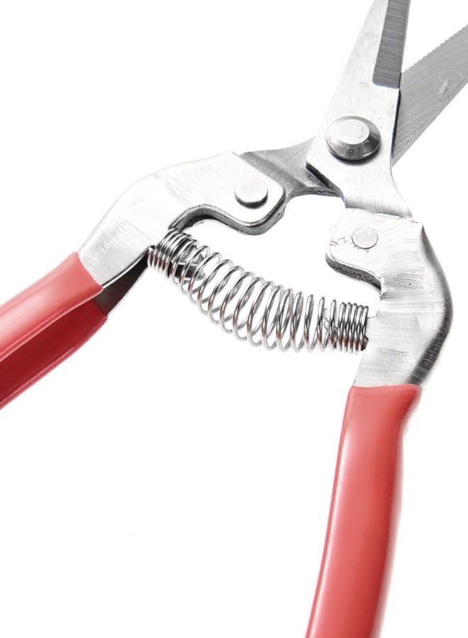 LAWAZIM Straight Blade Pruning Shears - 8inch - Hand Pruning Snip with Serrated Blade, Sharp Bonsai Cutter and Plant Trimming Scissors for Harvesting Plant Care, Indoor Gardening and Light Pruning - Image 5