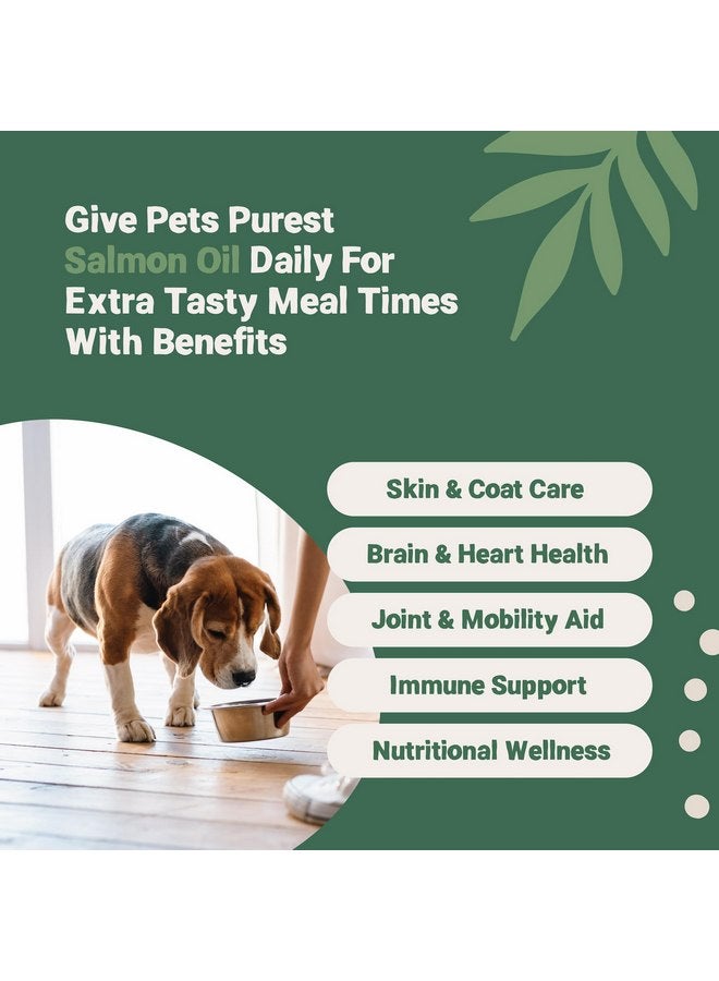 الحيوانات الأليفة أنقى زيت السلمون الأكثر نقاءً للكلاب والقطط والخيول والقوارض والحيوانات الأليفة - 32 أونصة سائلة 100% نقية من الدرجة الغذائية الممتازة - مكمل غذائي طبيعي من أوميجا 3 و6 و9 - يعزز صحة الفراء والجلد والمفاصل والدماغ - Image 2
