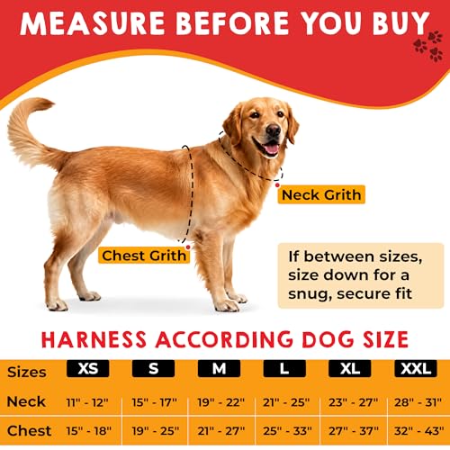 Pelto Service Dog Vest + ID Tag + 50 ADA Information Cards - Service Dog Harness in Sizes X Small to XX Large, Metal Dog Tag has Durable Clip, Service Animal Information Cards are 2-Sided. ESA Accessory Set - Image 2