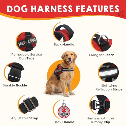Pelto Service Dog Vest + ID Tag + 50 ADA Information Cards - Service Dog Harness in Sizes X Small to XX Large, Metal Dog Tag has Durable Clip, Service Animal Information Cards are 2-Sided. ESA Accessory Set - Image 4