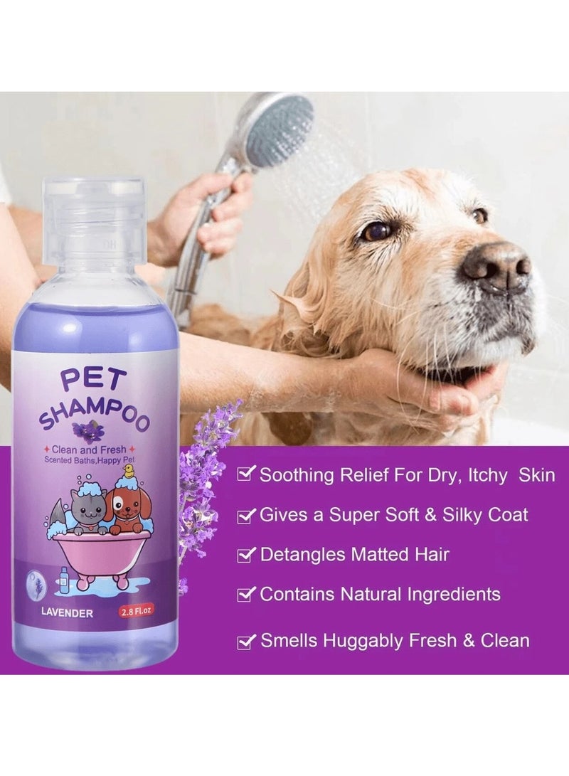 Generic Pet Shampoo - Premium Cat and Dog Wash for Allergies, Dryness & Itching, Moisturizer for Sensitive Skin - Sulfate Free, Botanical Extract  - Image 3