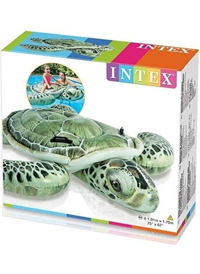 INTEX - Realistic Sea Turtle Ride-On - Image 1