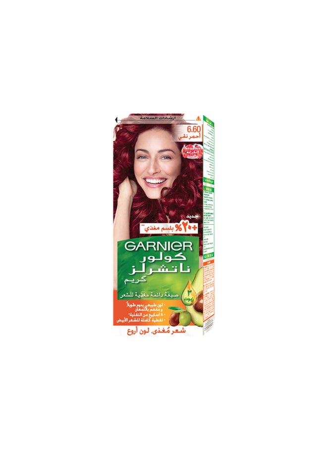 Garnier Henna Color No. 6.60 Red 