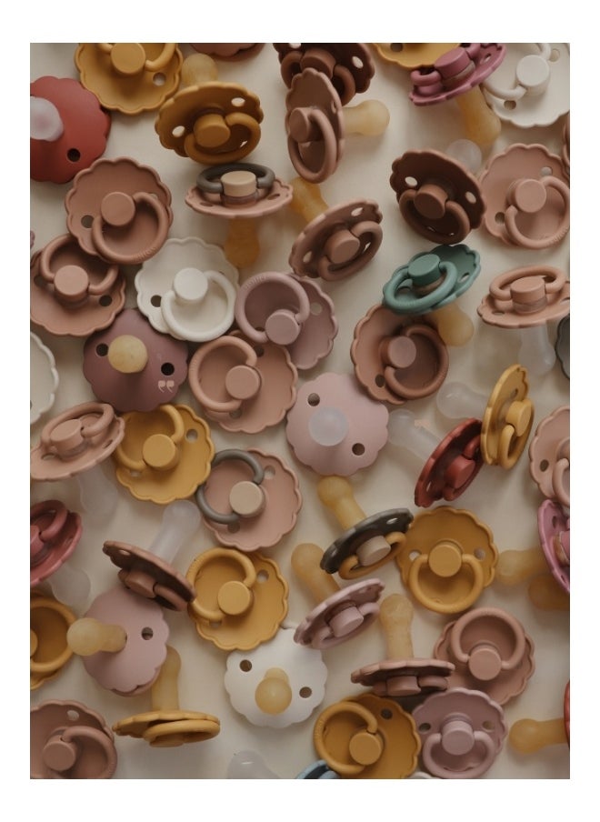 FRIGG Daisy Silicone Baby Pacifier 0-6M 1-Pack Biscuit - Size 1  - Image 5