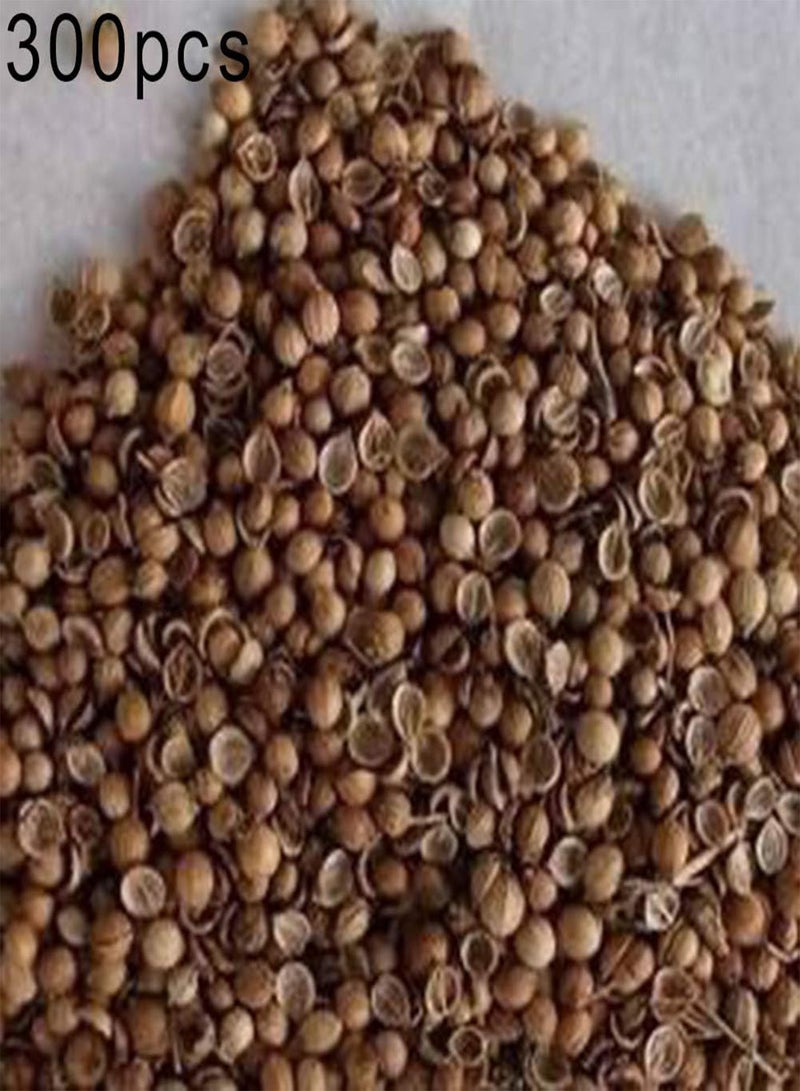 GGOOT 300Pcs Coriander Seeds,Garden Bonsai Nutritious Vegetable Flavor Cooking Plant for Planting Garden Yard Outdoor 1 Coriander Seeds - Image 2