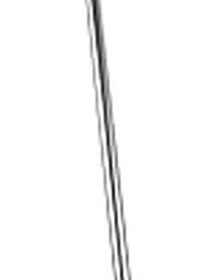 Stainless Steel Portable Lantern Hanger Hook For Camping Tent Light Holder Outdoor Accessories - Image 1