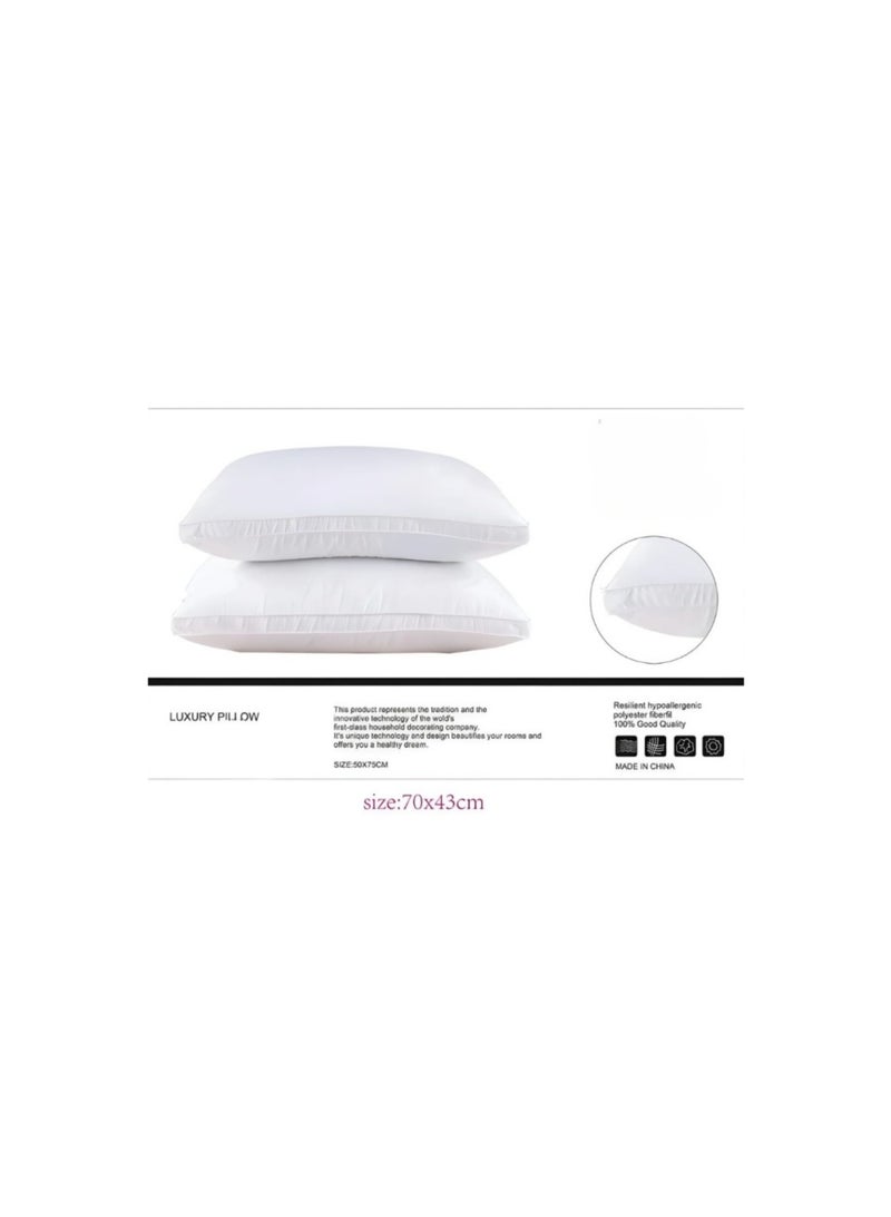 ARAM pillow 50*75 cm - Image 3