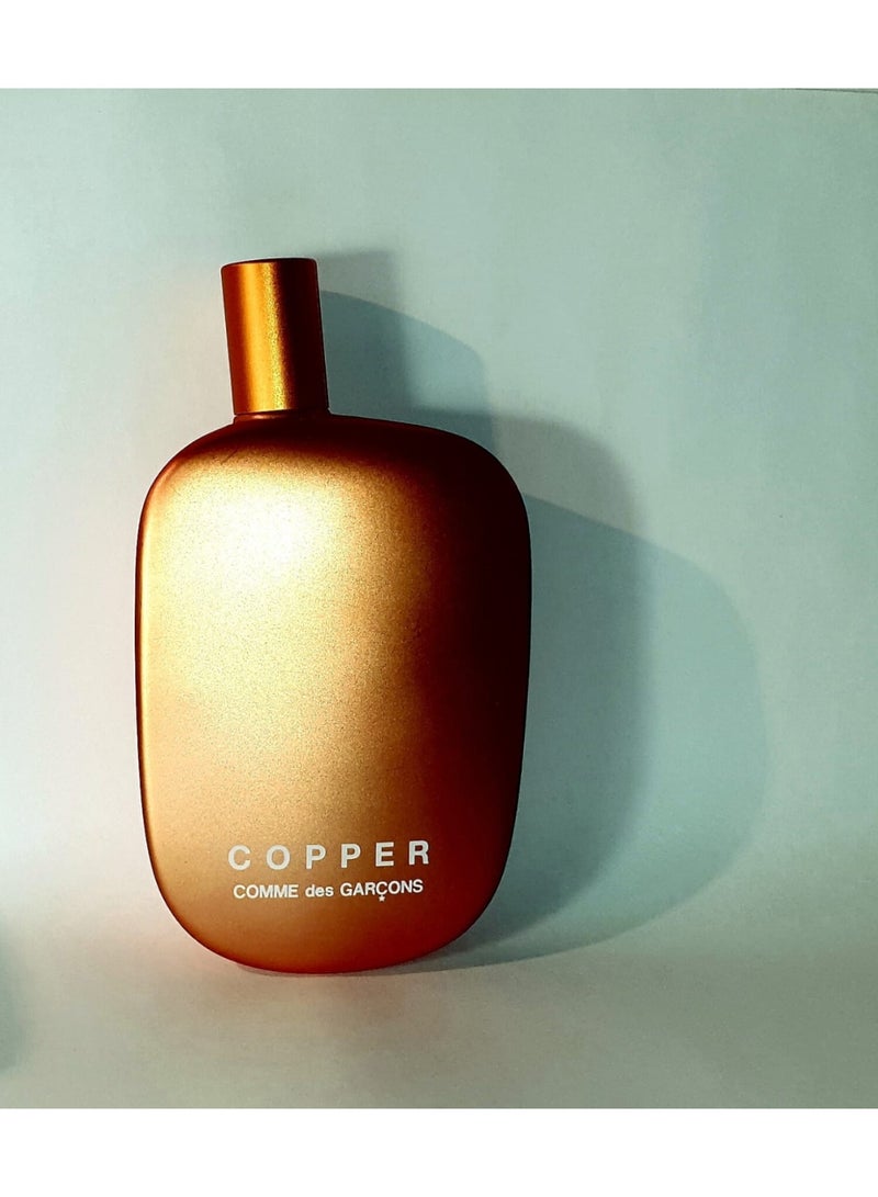 COMME DES GARCONS Comme des Garçons Cooper Eau de Parfum for Women and Men 100ml (100% Original) - Image 4