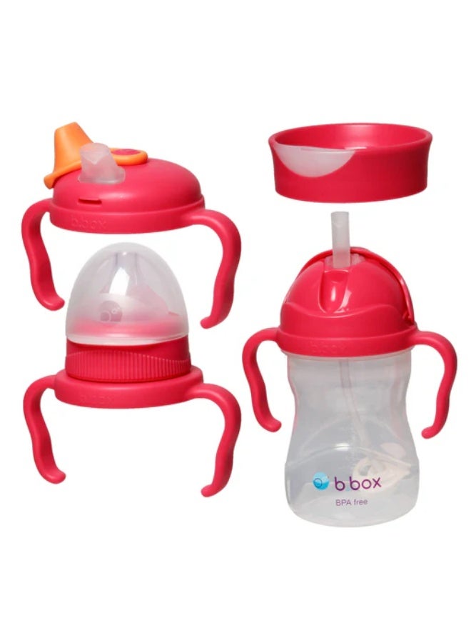 b.box Bbox - Toddler Transition Value Pack - Raspberry - Image 1