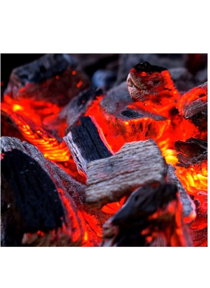 Generic Barbecue Charcoal Sign 9K  - Image 3