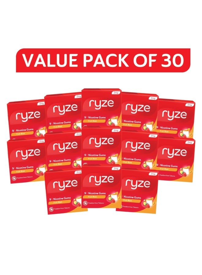 رايز علكة رايز نيكوتين ٢ ملغ | بنكهة الفواكه المنعشة | علكة طرية، سهلة على الحلق، خالية من السكر | تساعد على الإقلاع عن التدخين والمضغ | الإقلاع عن التدخين | ٢٧٠ علكة (٩ علكات في كل عبوة) | عبوة كومبو من ٣٠ - Image 2