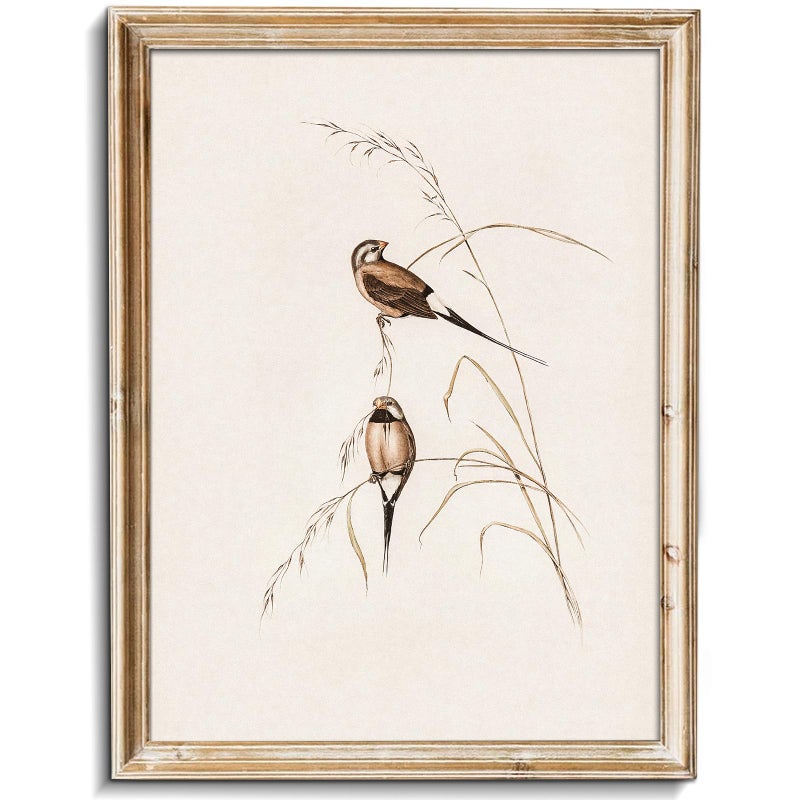 uniro Vintage Bird Wall Art Farmhouse Retro Pictures Canvas Sparrow Birds Poster Abstract Avian Wall Decor birds Themed Vintage Inspired bird Decor Modern Home Decor(8" x 10"-UNFRAMED) - Image 1