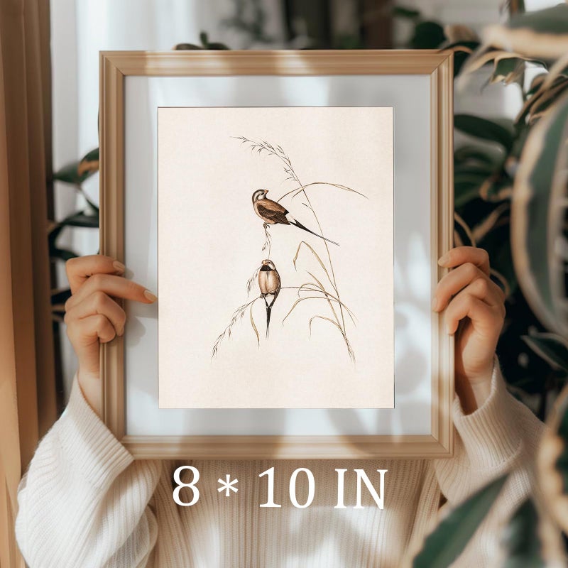 uniro Vintage Bird Wall Art Farmhouse Retro Pictures Canvas Sparrow Birds Poster Abstract Avian Wall Decor birds Themed Vintage Inspired bird Decor Modern Home Decor(8" x 10"-UNFRAMED) - Image 3