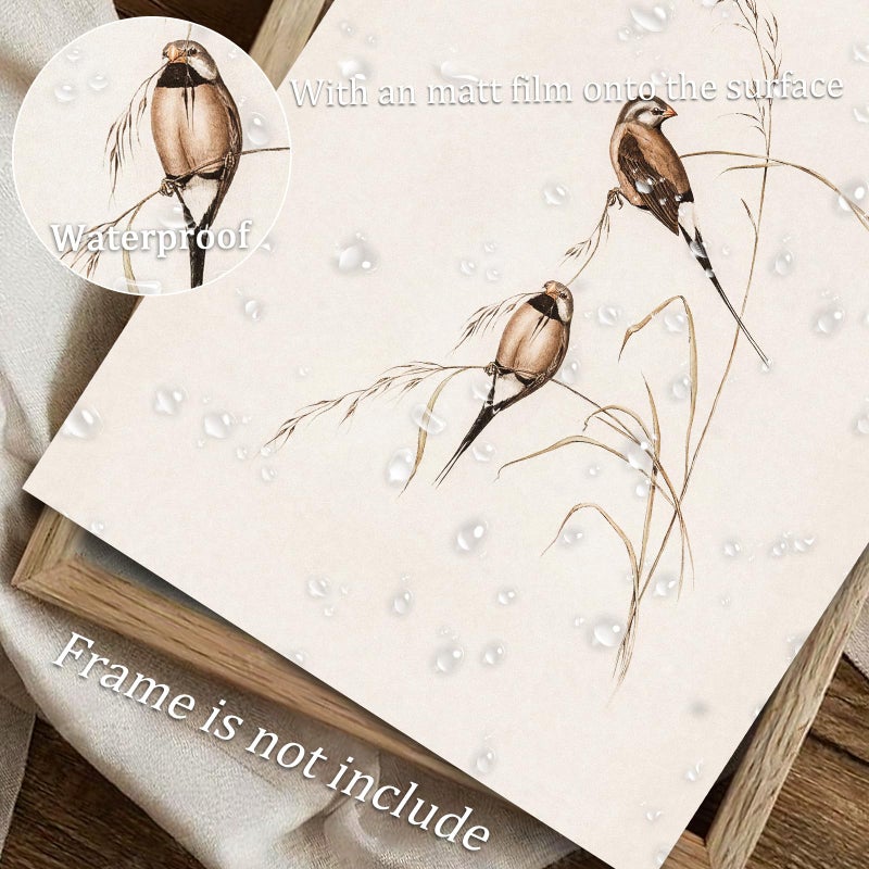 uniro Vintage Bird Wall Art Farmhouse Retro Pictures Canvas Sparrow Birds Poster Abstract Avian Wall Decor birds Themed Vintage Inspired bird Decor Modern Home Decor(8" x 10"-UNFRAMED) - Image 5