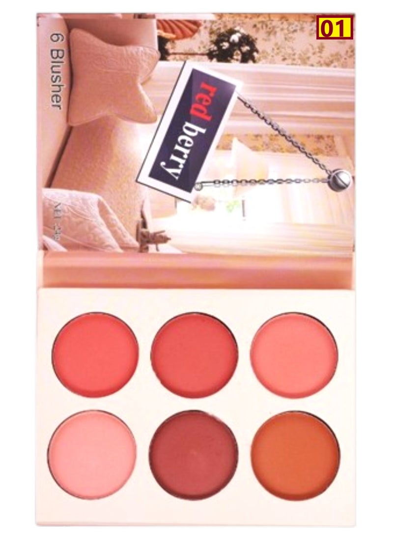 6 Blusher Palette Multicolour 01