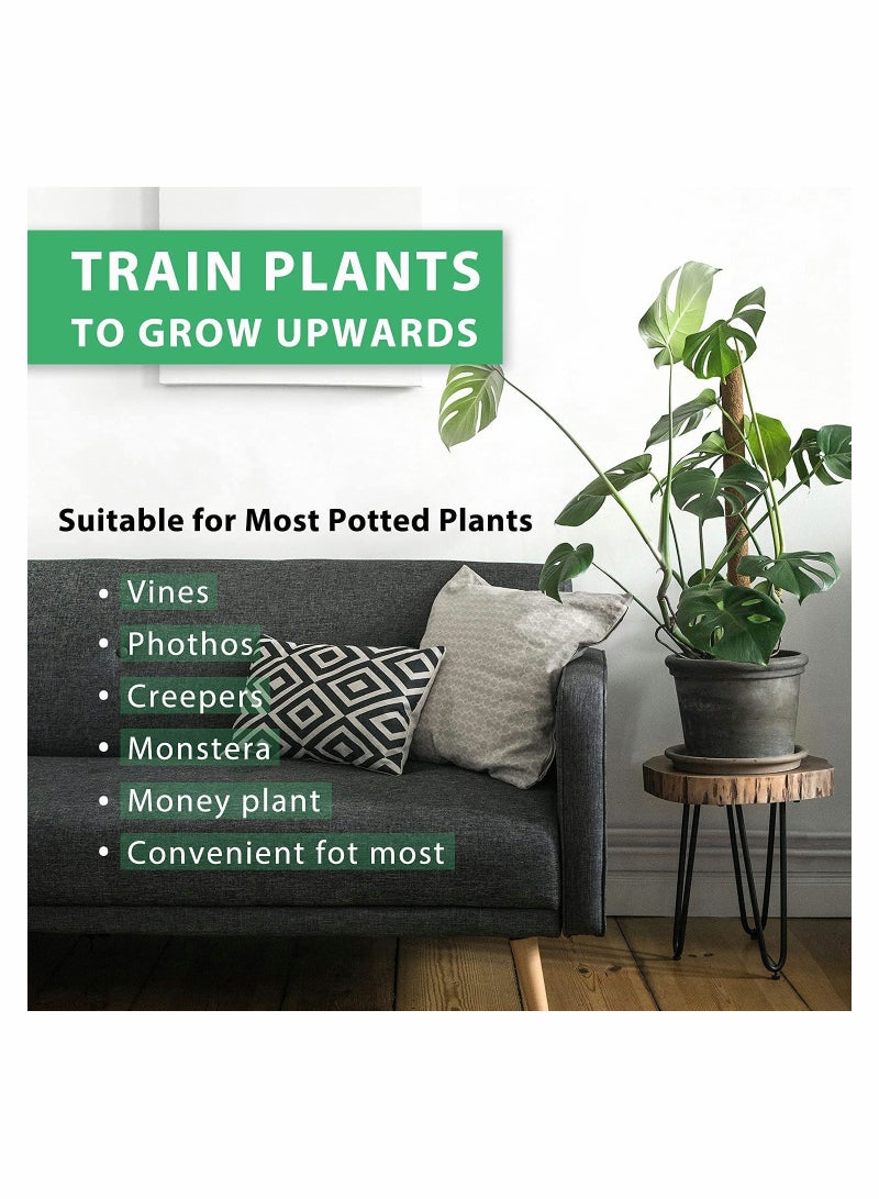 KASTWAVE عمود الطحلب - عمود الطحلب بطول 26 بوصة لنباتات مونسترا، حزمة 2 عمود نبات بطول 15.4 بوصة من جوز الهند - Image 4