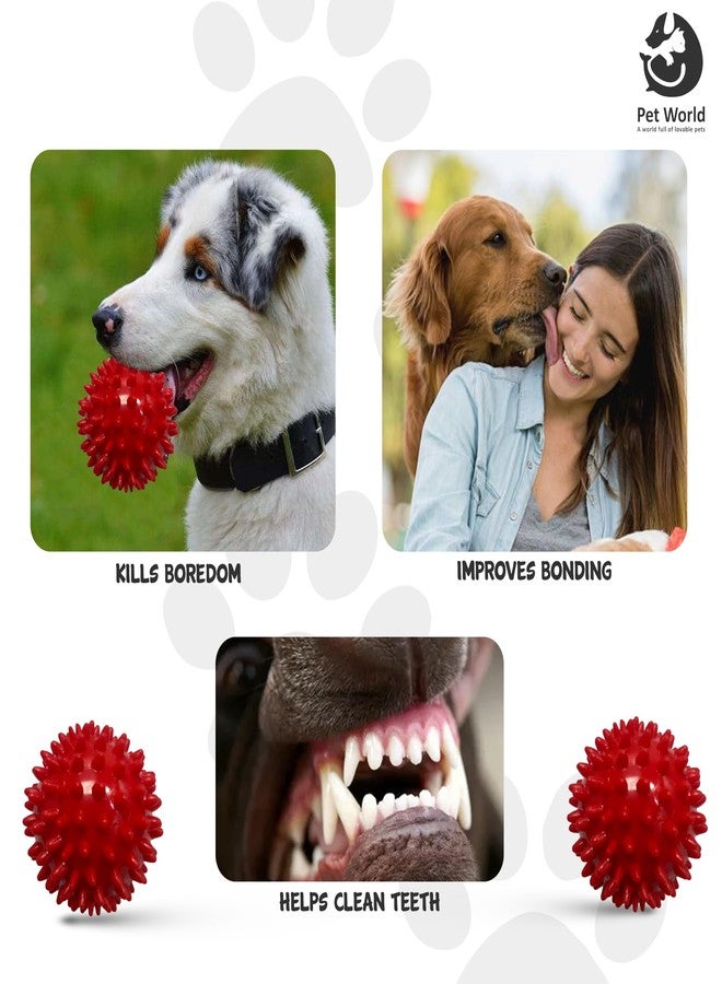 PET WORLD Dog Spike Ball| Made with Thermoplastic Rubber| Suitable for Small to Medium Dogs & Puppies| Chewing, Teething, & Training Bouncy Ball Toy| Safe for Dogs| Highly Durable - Image 4