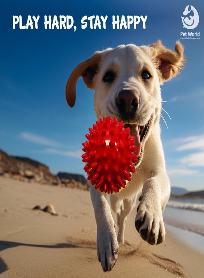 PET WORLD Dog Spike Ball| Made with Thermoplastic Rubber| Suitable for Small to Medium Dogs & Puppies| Chewing, Teething, & Training Bouncy Ball Toy| Safe for Dogs| Highly Durable - Image 5
