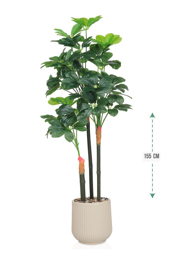 تالا شجرة شفليرا صناعية بثلاثة فروع بارتفاع 155 سم – ديكور داخلي أنيق يضفي لمسة طبيعية على المنزل والمكتب - Image 2