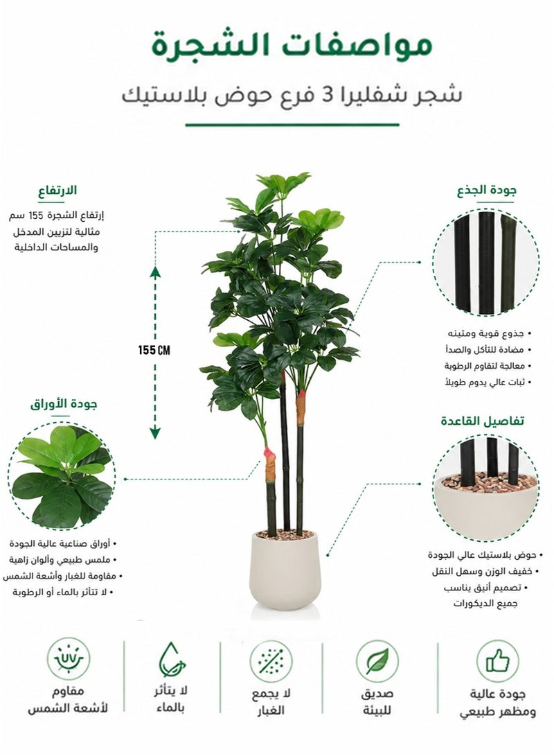 Tala Artificial Schefflera Tree with 3 Branches, 155 cm Height – Elegant Indoor Décor to Add a Natural Touch to Home and Office - Image 2