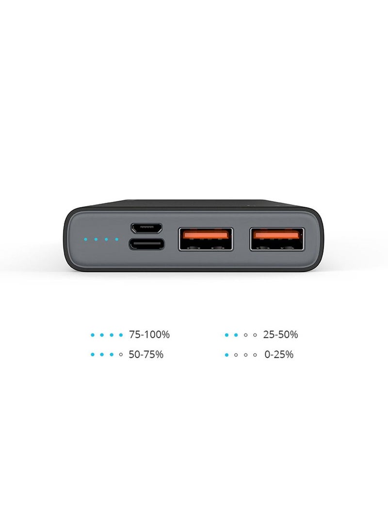 ريفرسونج رايز 10 - باوربنك 10000 مللي أمبير/ساعة - أسود - Image 3