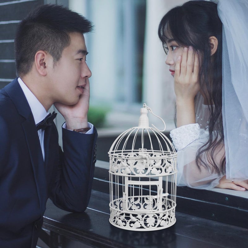 DOITOOL Wedding Decor Bird Cage White Metal Vintage Bird Cage European-Style Decor Birdcage Wedding Decoration Adorn, 12.59x5.51x5.51 Inches - Image 3