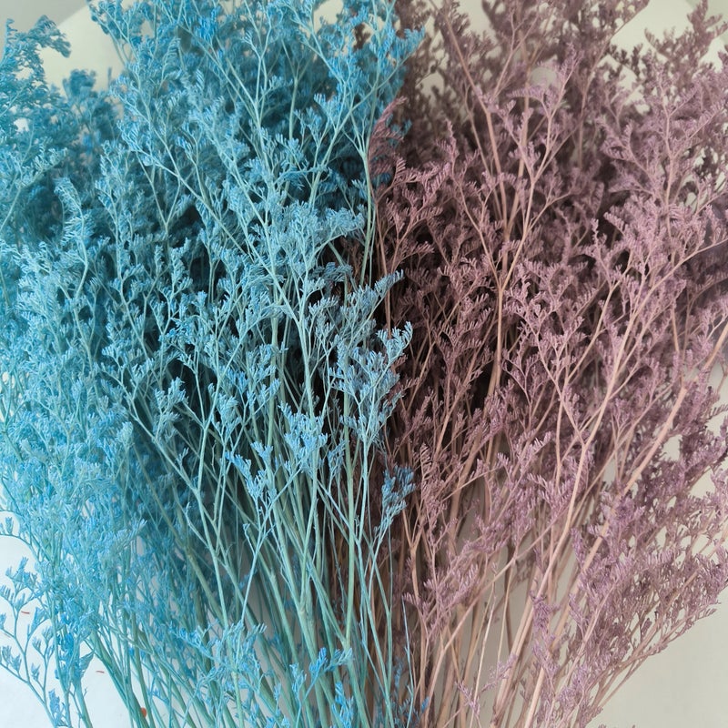 Bluejw Statice Caspia Dried Flowers - Misty Grass Preserved Limonium Sea Lavender for Wedding & Event Decor - Natural Dried Plants - Image 3