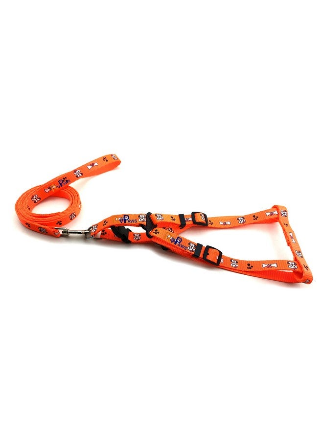 Small Breed Dog Body Harness Leash Set 15 Mm Soft Adjustable Bone Paw Printed Colourful Puppy Nylon Harness Set With Metal Hook Leash (Orange) - Image 1