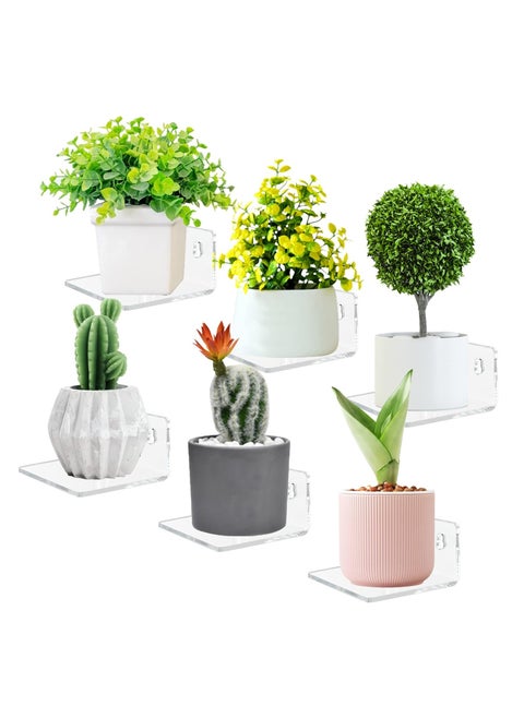Acrylic Small Floating Shelves for Wall, 6-Ledges, Clear Mini Display Floating Shelf, Flexible Use with Adhesive or Screw
