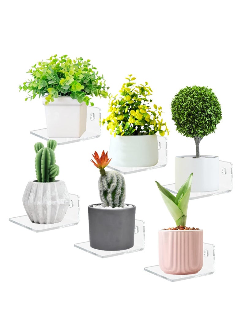 TPGP Acrylic Small Floating Shelves for Wall, 6-Ledges, Clear Mini Display Floating Shelf, Flexible Use with Adhesive or Screw  - Image 1