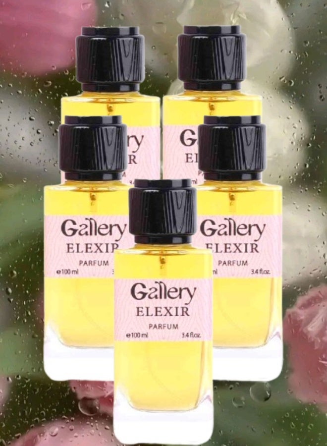 Gallery 5 Pieces Gallery Elexir Perfume 100ML - Image 1