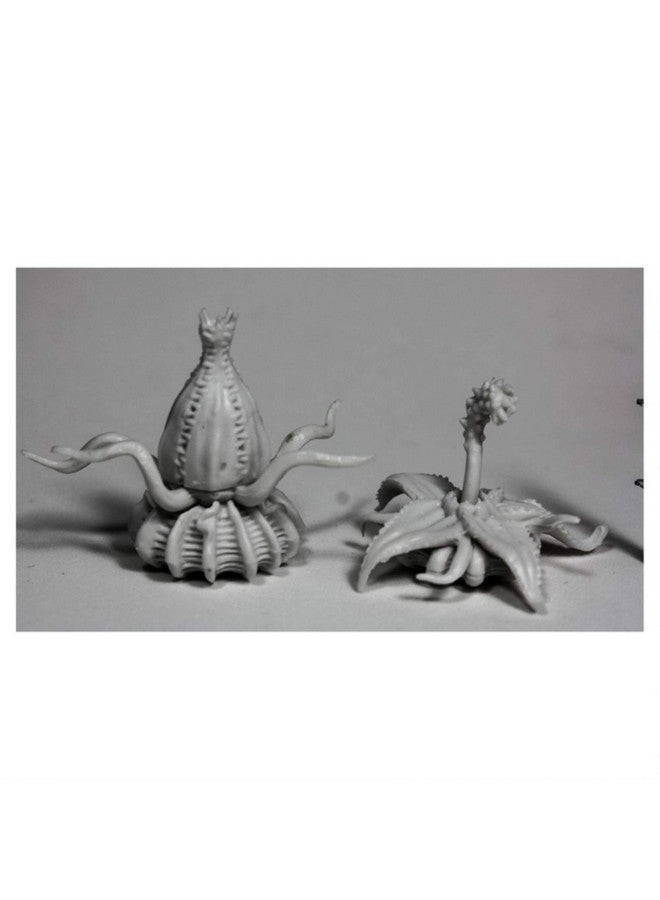 Reaper زهور الموت نجوم الحصاد (2) #77504 عظام RPG D&D تمثال مصغر