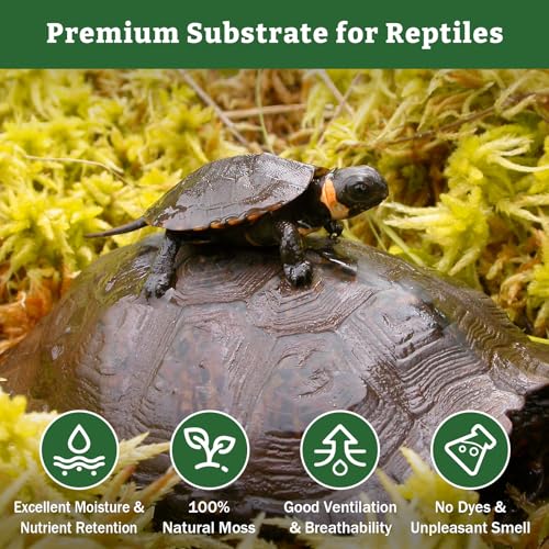 Riare 5.3OZ Premium Sphagnum Moss for Reptiles- 6QT Natural Reptile Moss Dried, Forest Live Moss for Terrarium, Frogs Snake Peat Moss Bedding for Leopard Gecko Turtle Anoles Salamanders Orchids Plants - Image 3