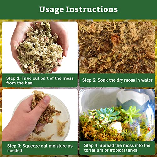 Riare 5.3OZ Premium Sphagnum Moss for Reptiles- 6QT Natural Reptile Moss Dried, Forest Live Moss for Terrarium, Frogs Snake Peat Moss Bedding for Leopard Gecko Turtle Anoles Salamanders Orchids Plants - Image 4