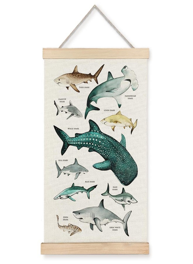 Supwhd Shark Wall Decor, Shark Posters with Wooden Frames, Ocean Animal Poster Hanger Frame, Sharks Nautical Wall Hanging Banner Decor for Nursery Classroom Coastal House Beachy Room, 12x16 - Image 1