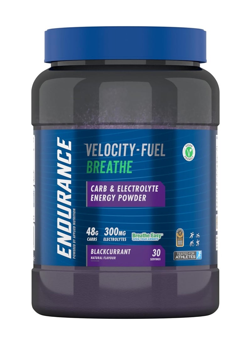Endurance Velocity Fuel Recovery Post Exercise Recovery, Black Currant Flavor, 1.5 Kg