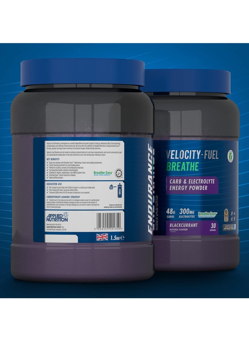 Endurance Velocity Fuel Recovery Post Exercise Recovery, Black Currant Flavor, 1.5 Kg