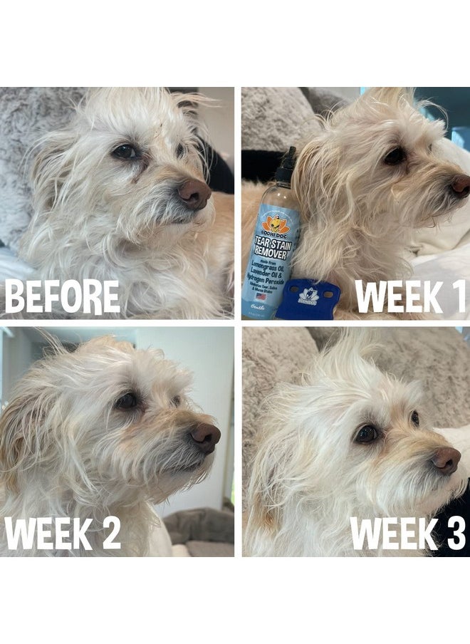 Bodhi Dog - Tear Stain Remover | Removes Dog & Cats Tears, Saliva & Mucus Stains | Safe Gentle Solution For Fur And Delicate Coats | Made In Usa, 8Oz - Image 1