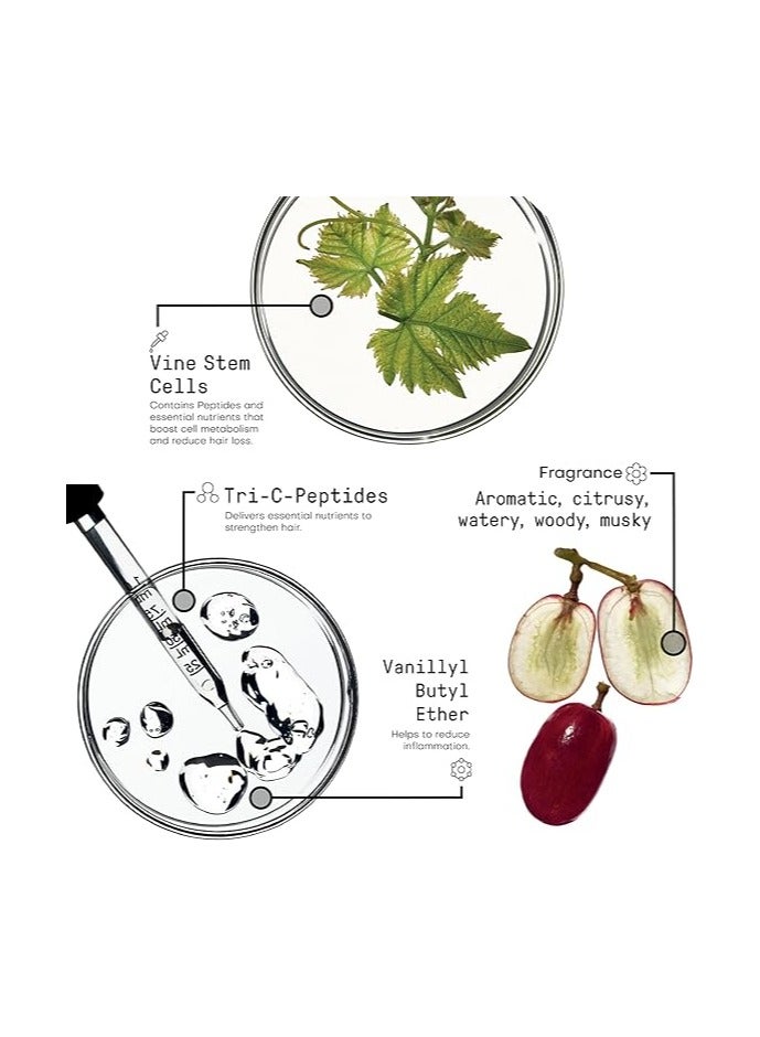 فراميسي مورفوسيسيس - شامبو مقوي 250 مل - Image 4