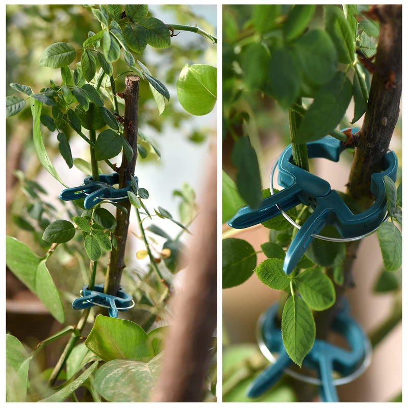 PERSZEN Plant Support Clips, 80 PCS Gentle Flower Plant Clamps for Supporting Vine Climbing Plants, Gardening Lever Loop Gripper Clips Help Stems Vines Grow Straight Upright, 2 Sizes in one Pack - Image 4