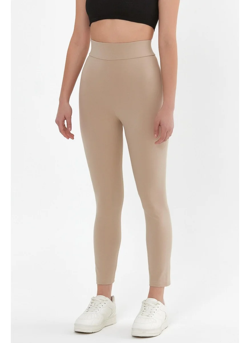 Alexander Gardi High Waist Leggings (B23-005400)