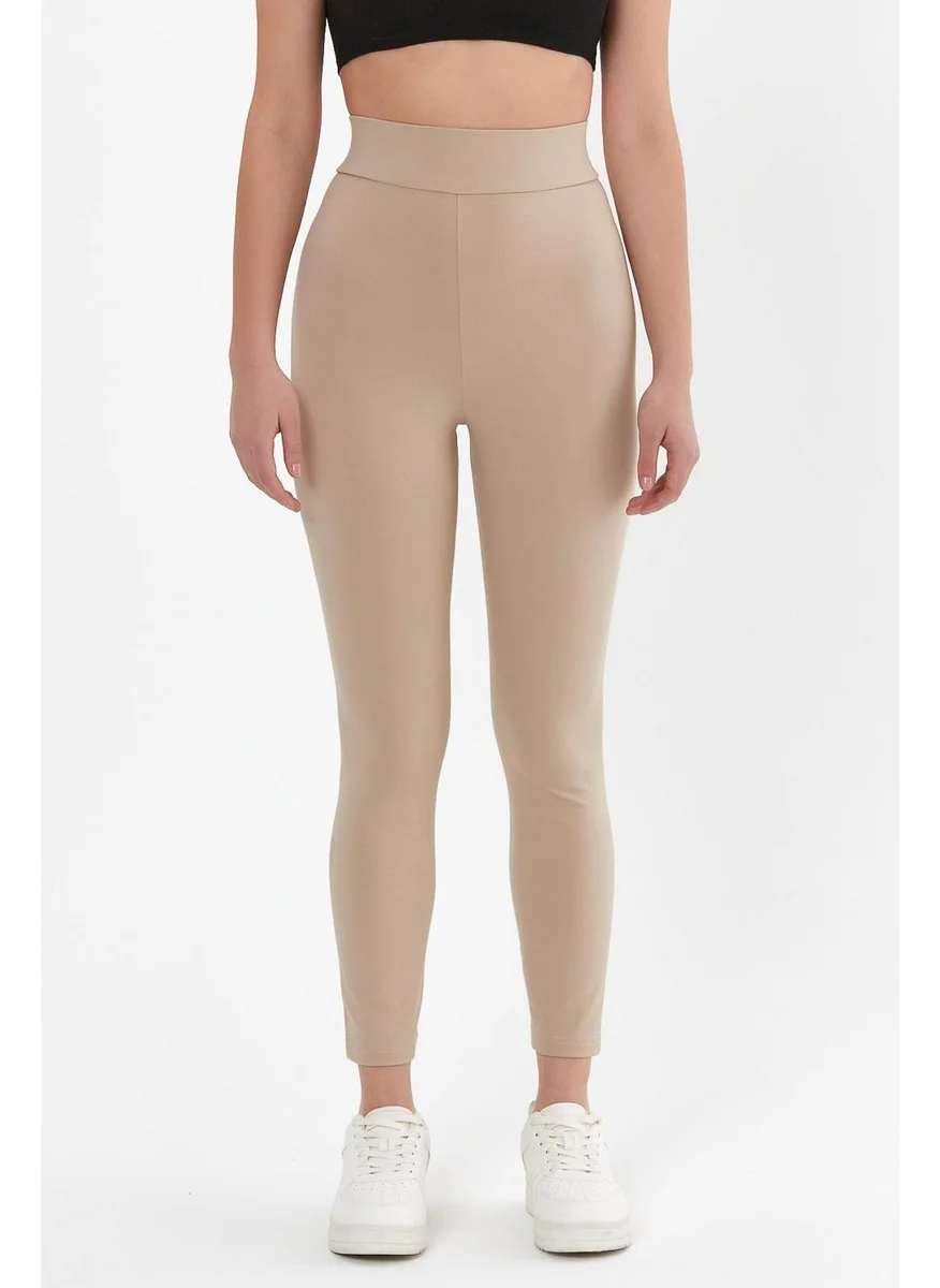 Alexander Gardi High Waist Leggings (B23-005400)