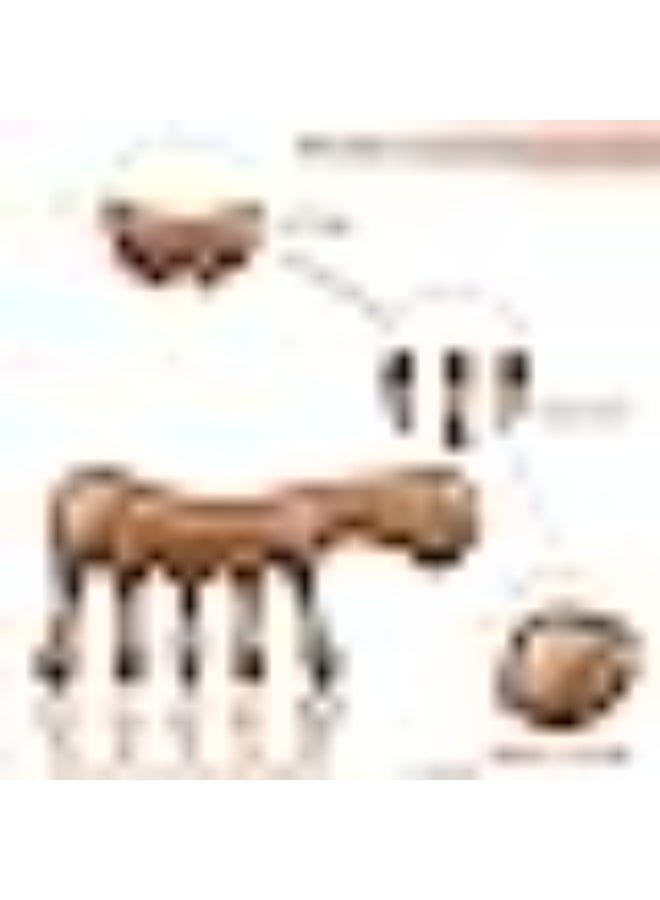 Wood Massage Comb, Ergonomic Wide Tooth Head Sandalwood Gua Sha Scalp Scraping Massage Comb Head Care GuaSha -Tool for Neck Arms Legs - Image 3