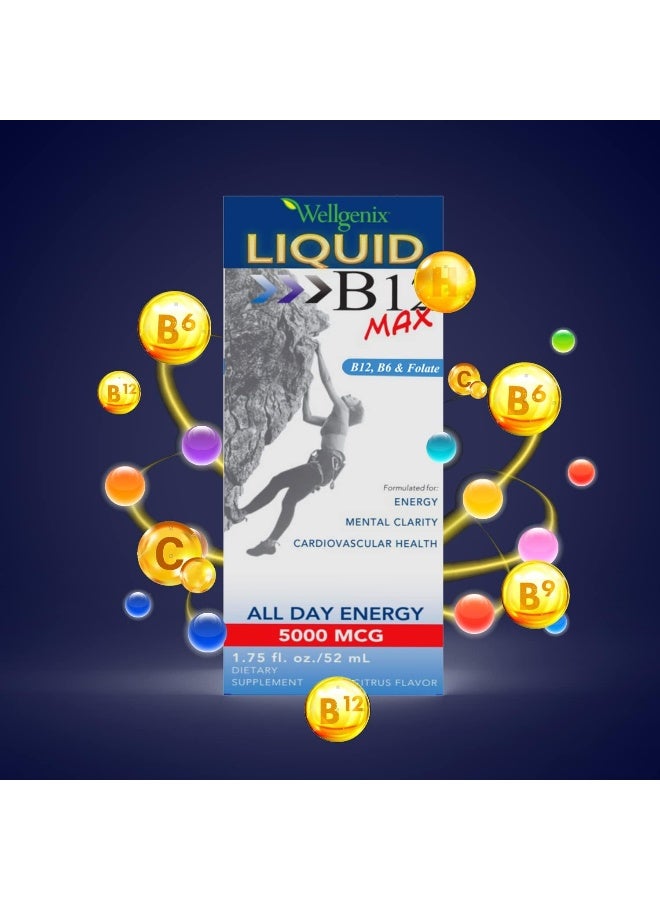 Wellgenix B12 Max Liquid Supplement for Energy - Image 2