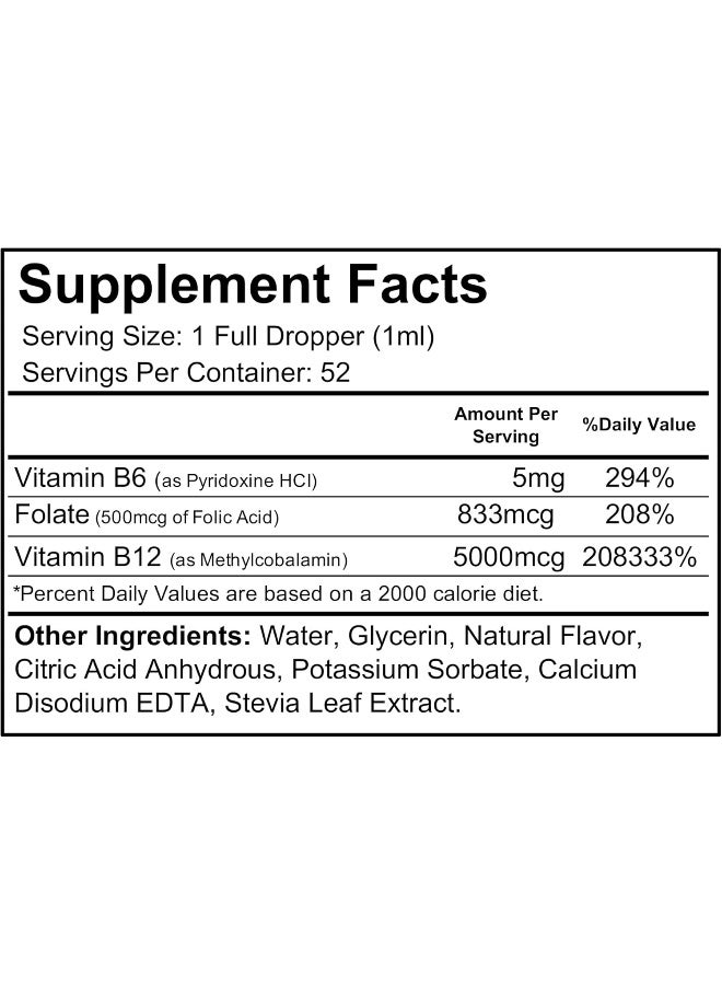 Wellgenix B12 Max Liquid Supplement for Energy - Image 4