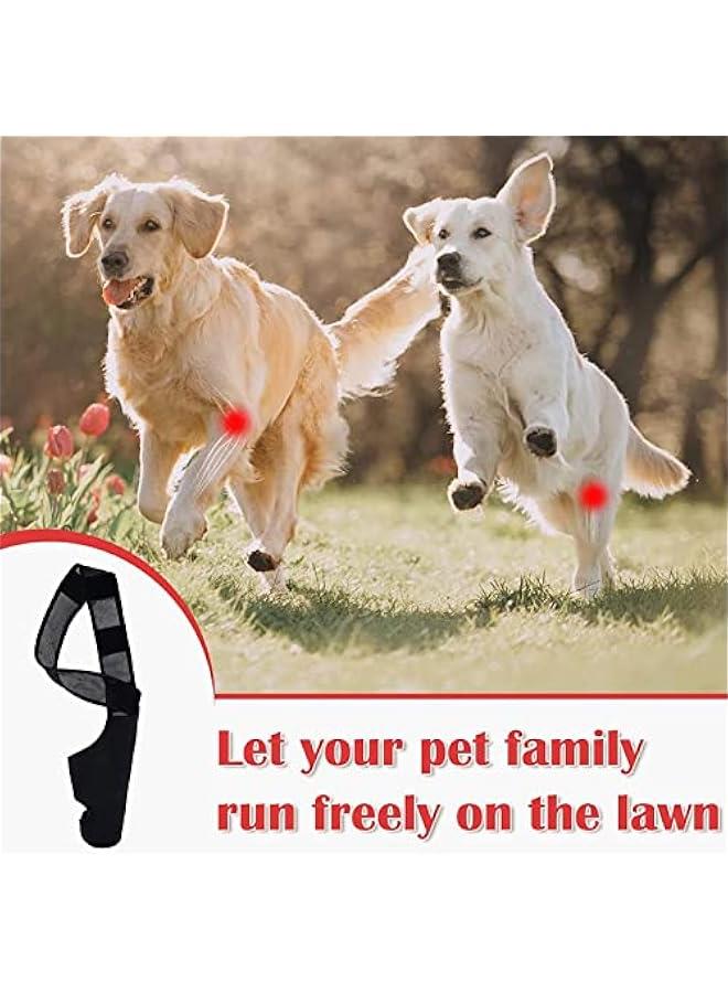 Generic Elbow Protector,Dog Elbow Brace Protector Pads, Dog Elbow Protector Pads, Relieve Arthritis Reducing Pain Dog Shoulder Brace, Pet Supplies, for Dysplasia, Osteoarthritis, Elbow Calluses(S-black)  - Image 3
