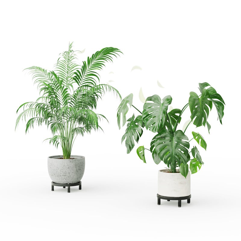 Zhongma 2 Pack 8.7" Fully Assembled Sturdy Potted Plant Stand Flower Pot Holder Heavy Duty Construction, Low Plant Stand for Home Indoor and Outdoor, Sturdy plant riser and saucer without Installation Required - Image 3