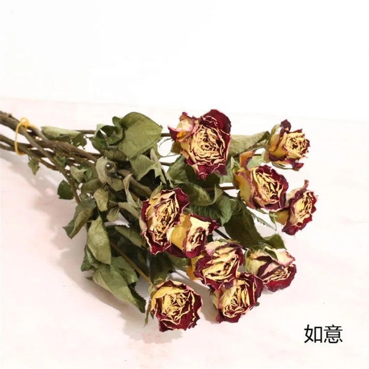 Bluejw Real Natural Dried Roses Bouquet Long Stem, Cheap Dried Plants Flower Arrangement for Home Decor - Image 3